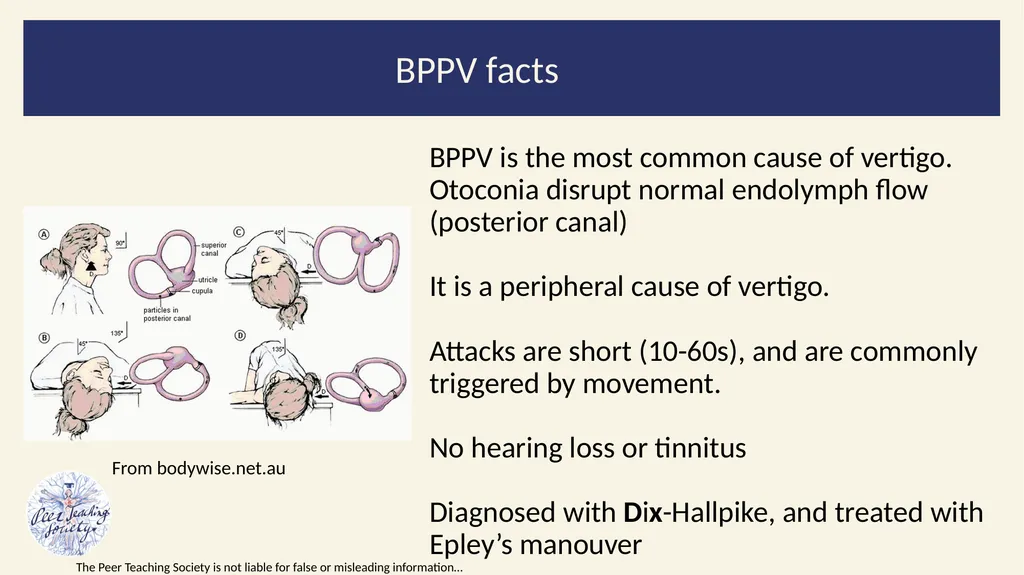 2022/2023 Revision Session Dr Dalton Barham - slide 13 of 38