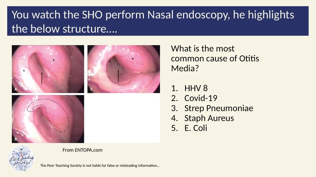 2022/2023 Revision Session Dr Dalton Barham - slide 25 of 38