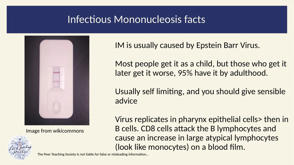 2022/2023 Revision Session Dr Dalton Barham - slide 15 of 38