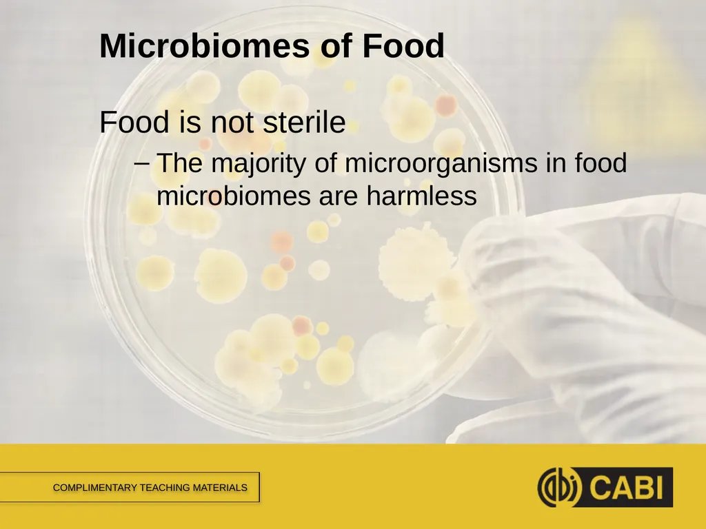 MICROBIAL FOOD SAFETY A FOOD SYSTEMS APPROACH - slide 5 of 12