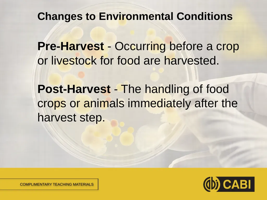 MICROBIAL FOOD SAFETY A FOOD SYSTEMS APPROACH - slide 11 of 12