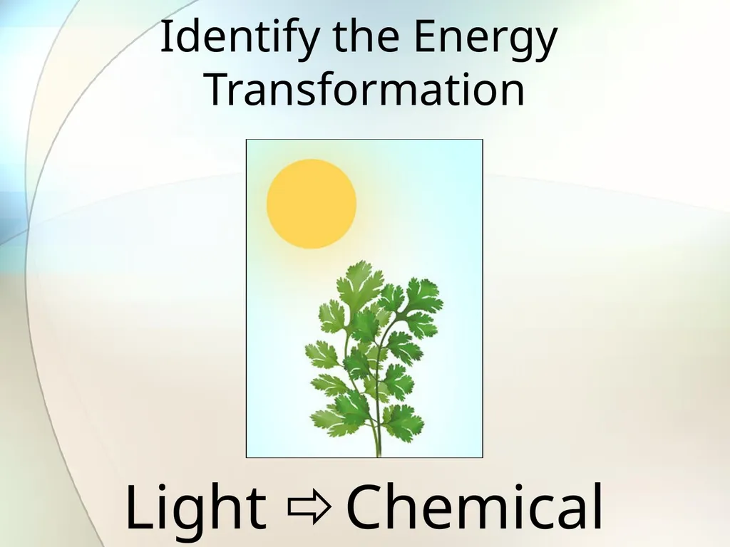 Identify all the forms of energy you see in the - slide 43 of 54