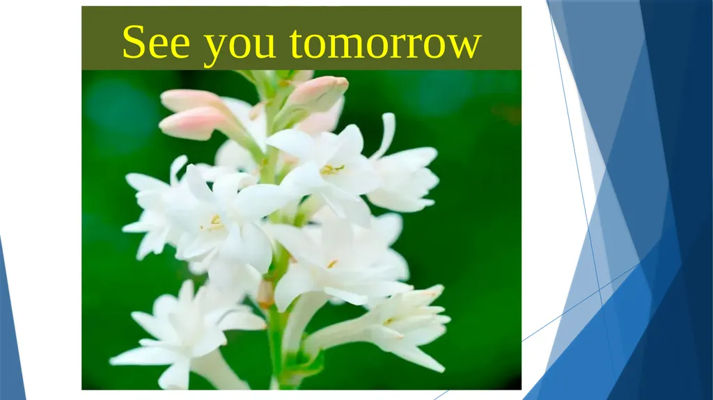 Presented By How many people are there? Name the - slide 11 of 11