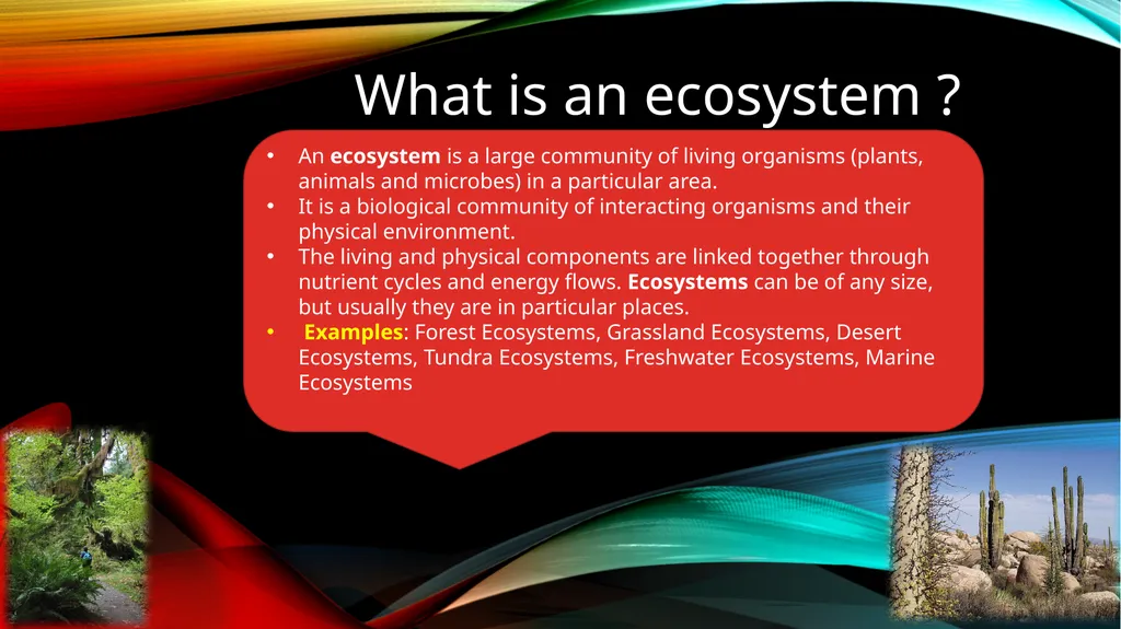 Ecosystems www.ecosystemforkids.com What is an - slide 2 of 6