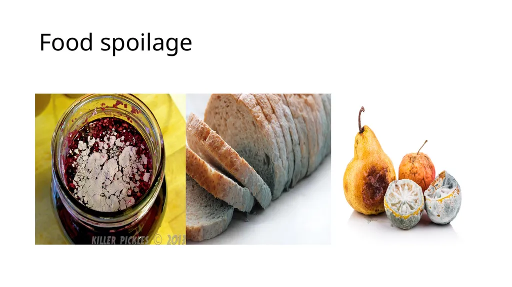 Food spoilage Spoilage is the process in which - slide 1 of 24