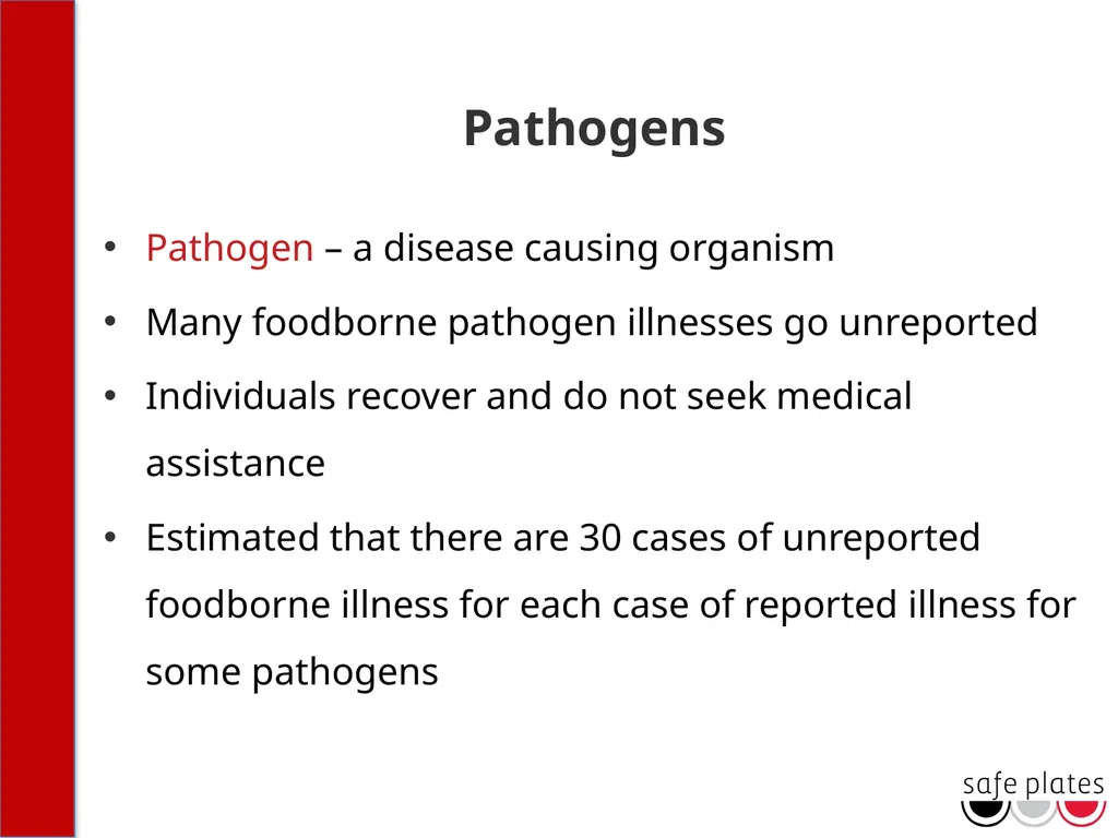 INTRODUCTION Course Outline 12 Lessons and Review - slide 22 of 34
