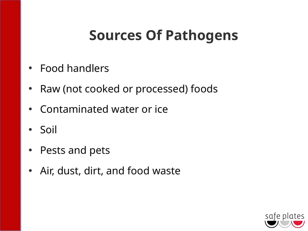 INTRODUCTION Course Outline 12 Lessons and Review - slide 23 of 34