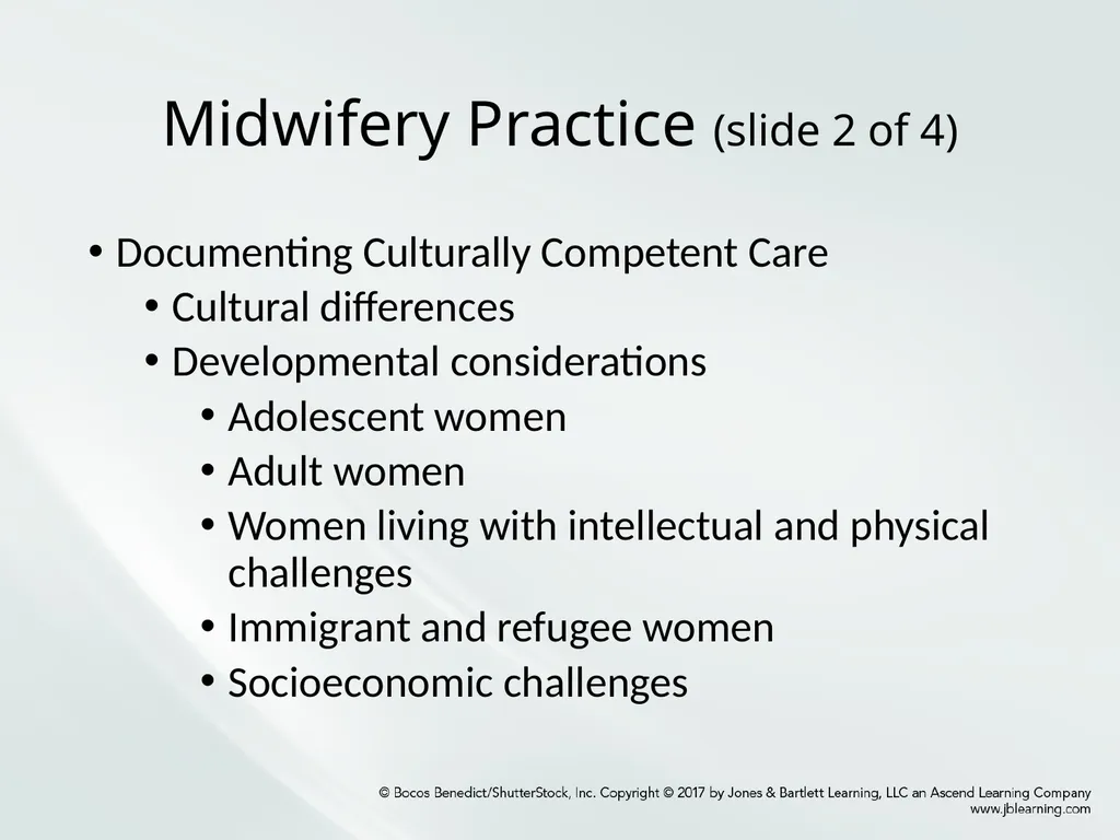 Chapter One: Essential Midwifery Practice - slide 8 of 13