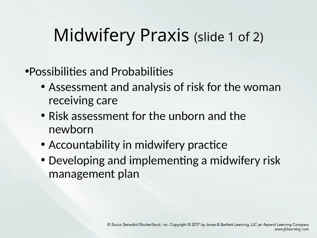 Chapter One: Essential Midwifery Practice - slide 5 of 13