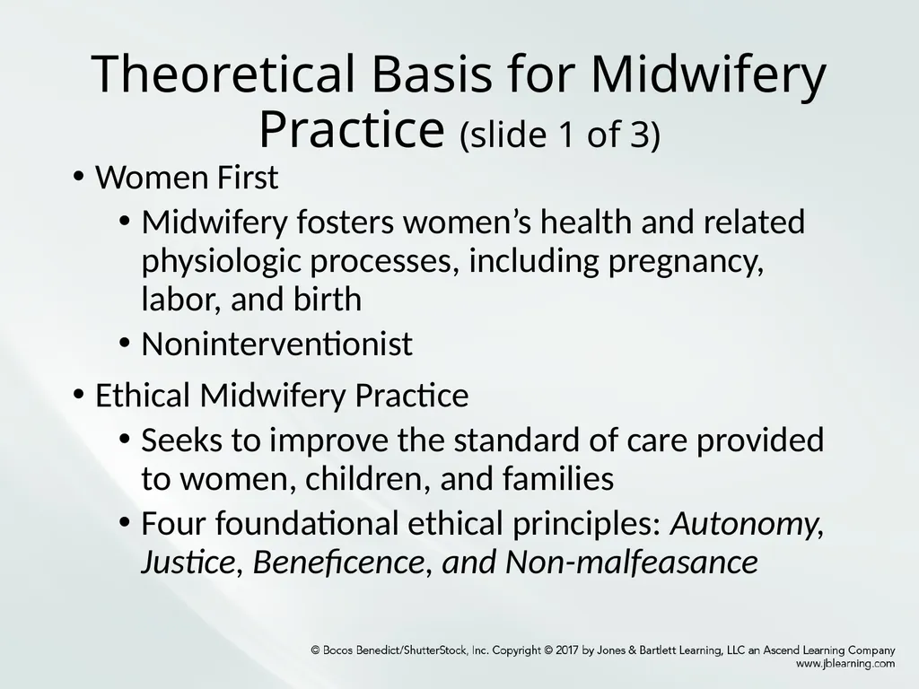 Chapter One: Essential Midwifery Practice - slide 2 of 13