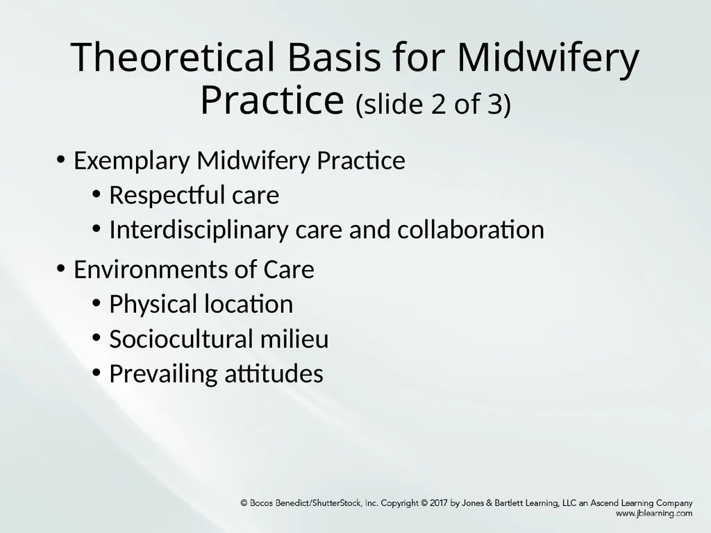 Chapter One: Essential Midwifery Practice - slide 3 of 13