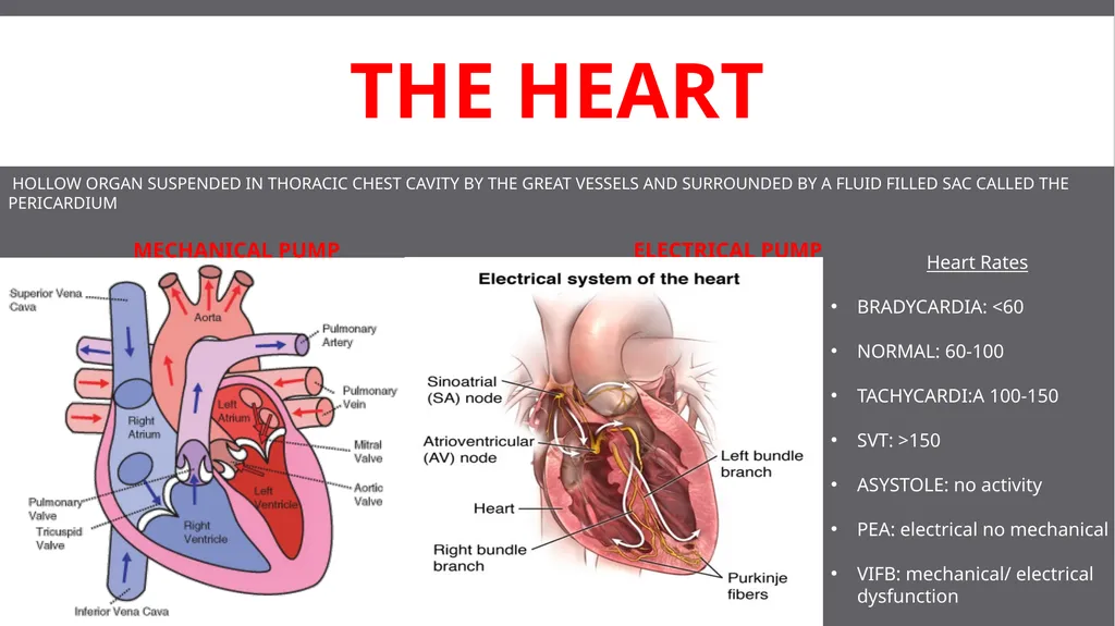 SCFD EMS CIRCULATORY EMERGENCIES Updated 03/2017 - slide 3 of 14