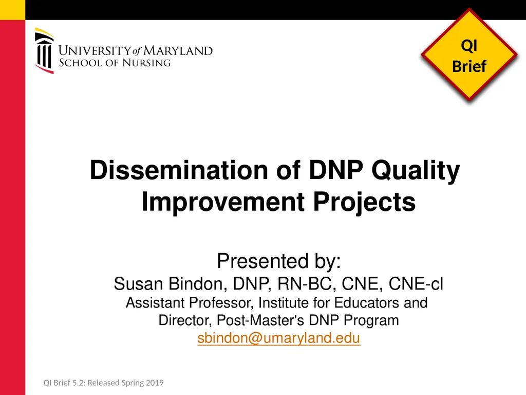 Dissemination of DNP Quality Improvement Projects - slide 1 of 16