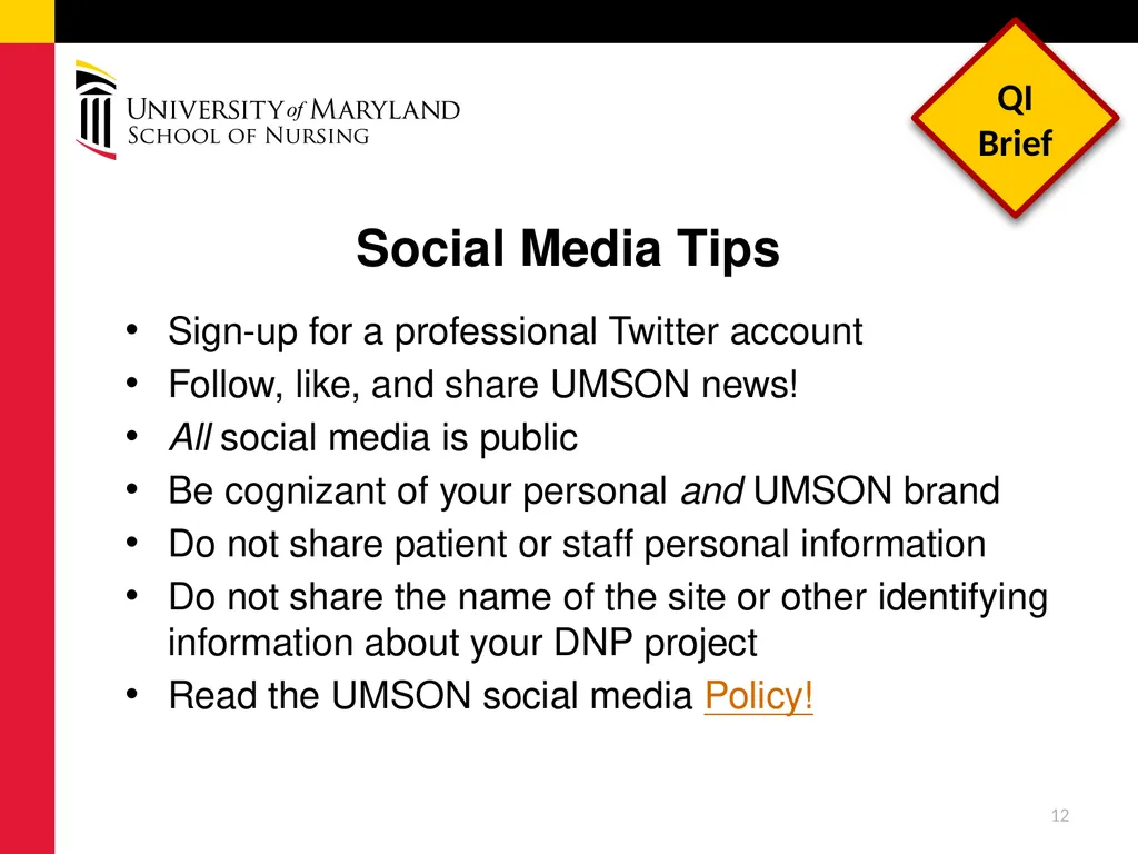 Dissemination of DNP Quality Improvement Projects - slide 12 of 16