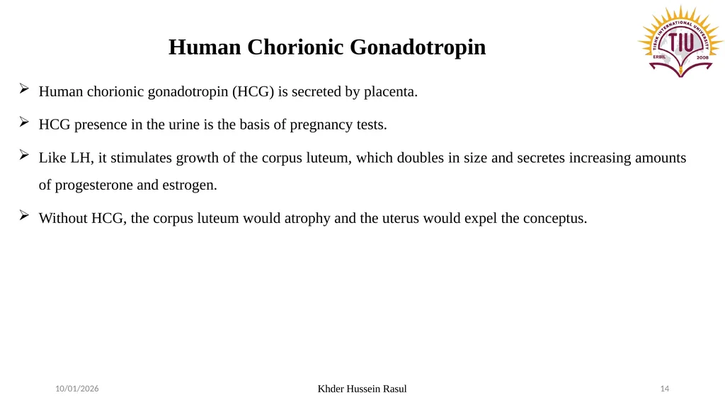 Spring Semester Course Name : Endocrinology Stage: - slide 14 of 17