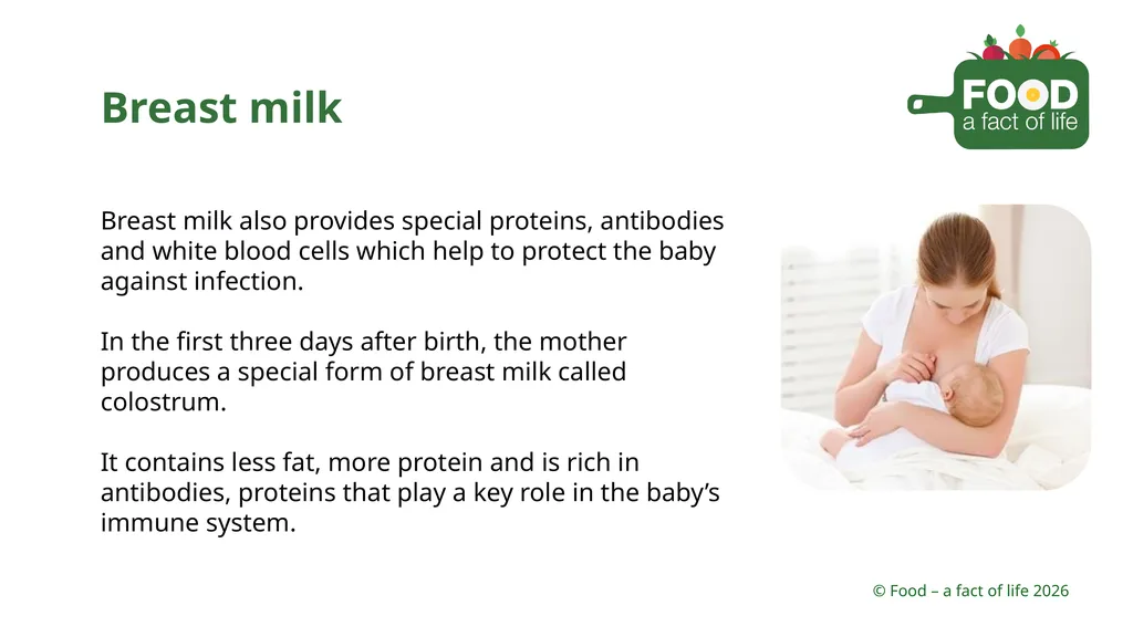Nutritional need throughout life Key stages in - slide 14 of 41