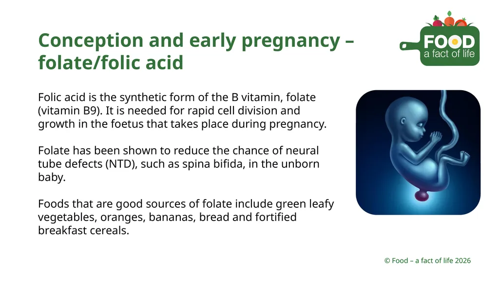 Nutritional need throughout life Key stages in - slide 4 of 41