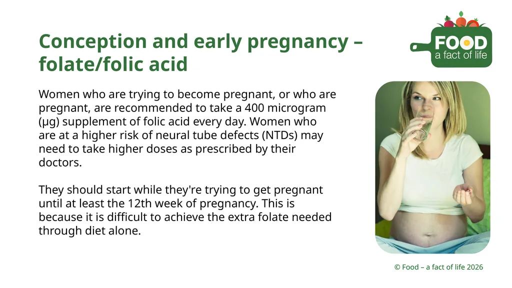 Nutritional need throughout life Key stages in - slide 5 of 41
