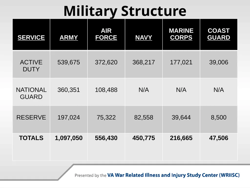 Why Military Culture Matters: The Military - slide 4 of 26