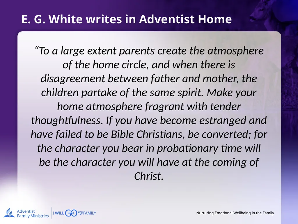 Nurturing Emotional Wellbeing in the Family - slide 13 of 27