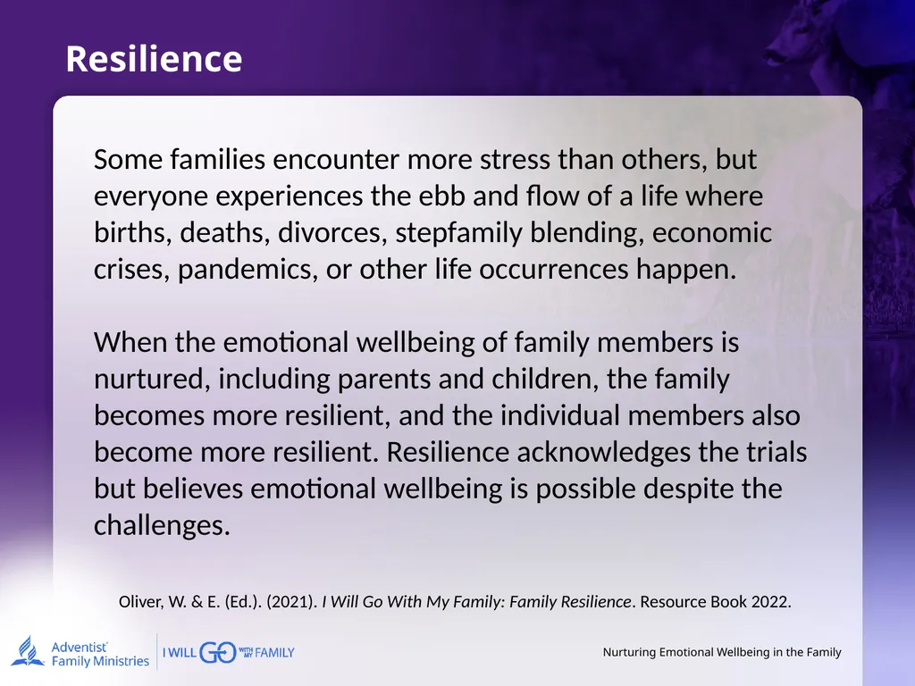 Nurturing Emotional Wellbeing in the Family - slide 23 of 27