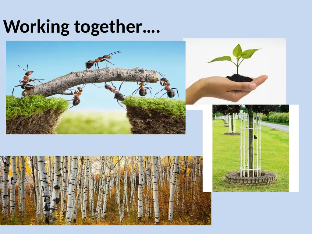 Adverse Childhood Experiences: Science to Action - slide 18 of 19