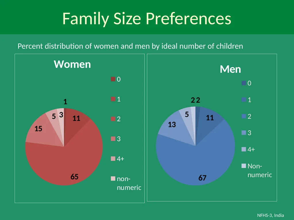 Profile of Youth in India NFHS-3, India Analysis - slide 21 of 44
