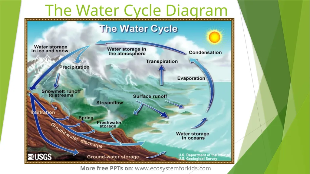 The Water Cycle More free PPTs on: - slide 2 of 8