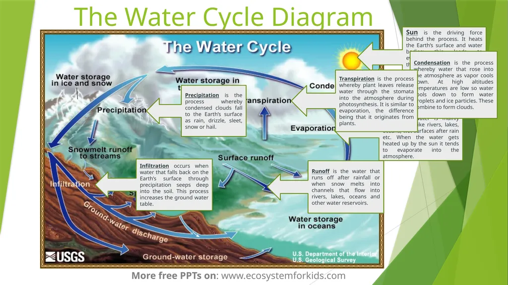The Water Cycle More free PPTs on: - slide 6 of 8