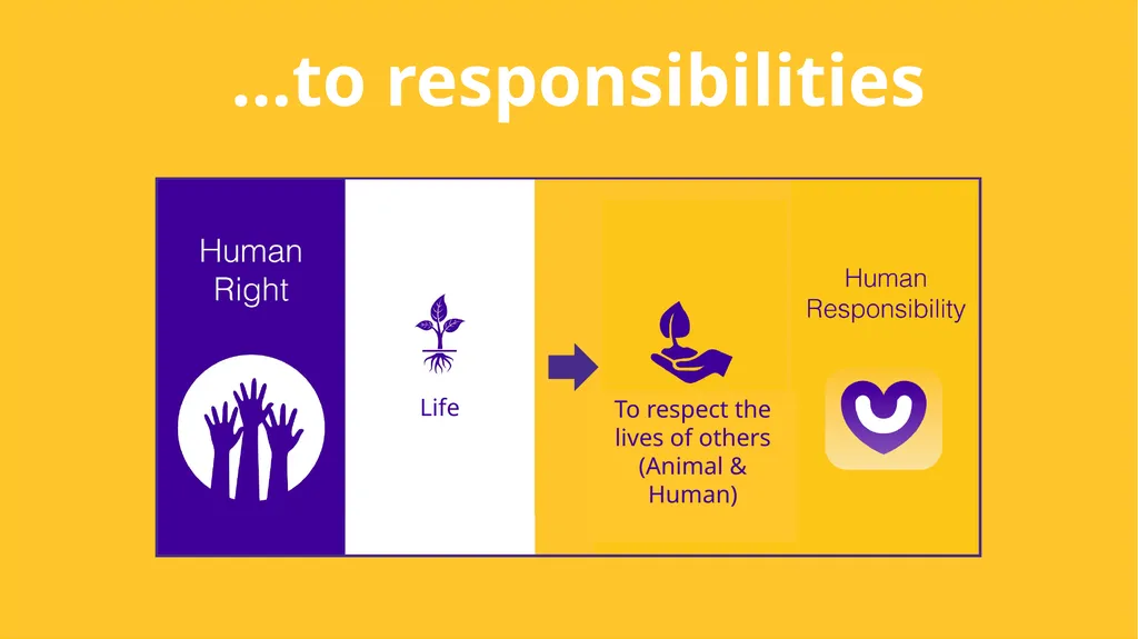 Child Protection & Human Rights - slide 24 of 65