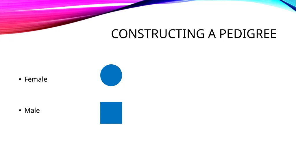 pedigree overview What is a pedigree? Definition - slide 4 of 42