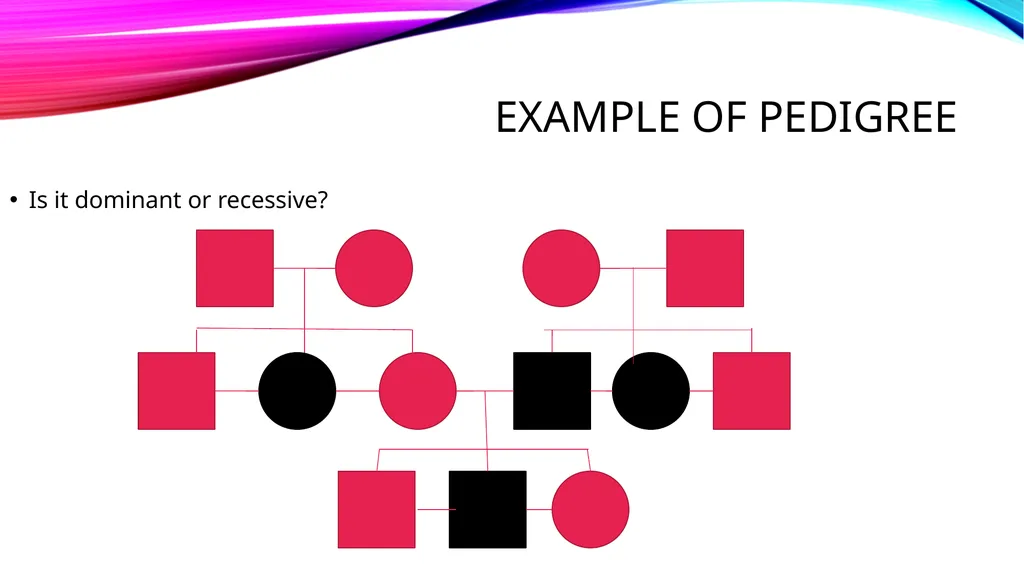 pedigree overview What is a pedigree? Definition - slide 15 of 42