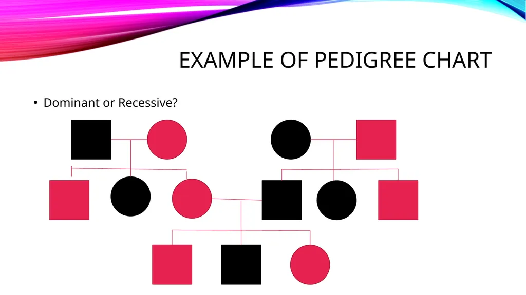 pedigree overview What is a pedigree? Definition - slide 13 of 42