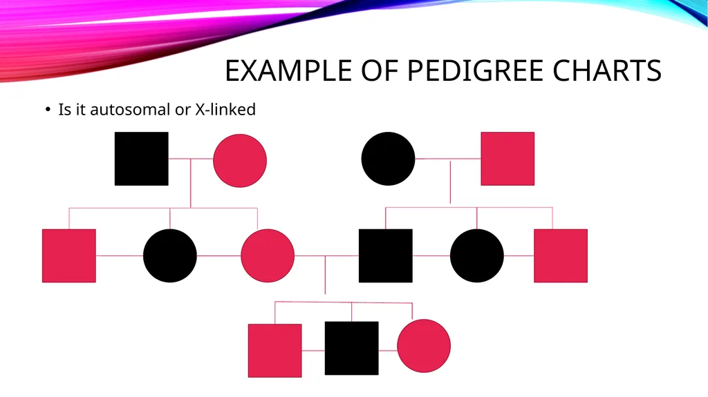 pedigree overview What is a pedigree? Definition - slide 10 of 42