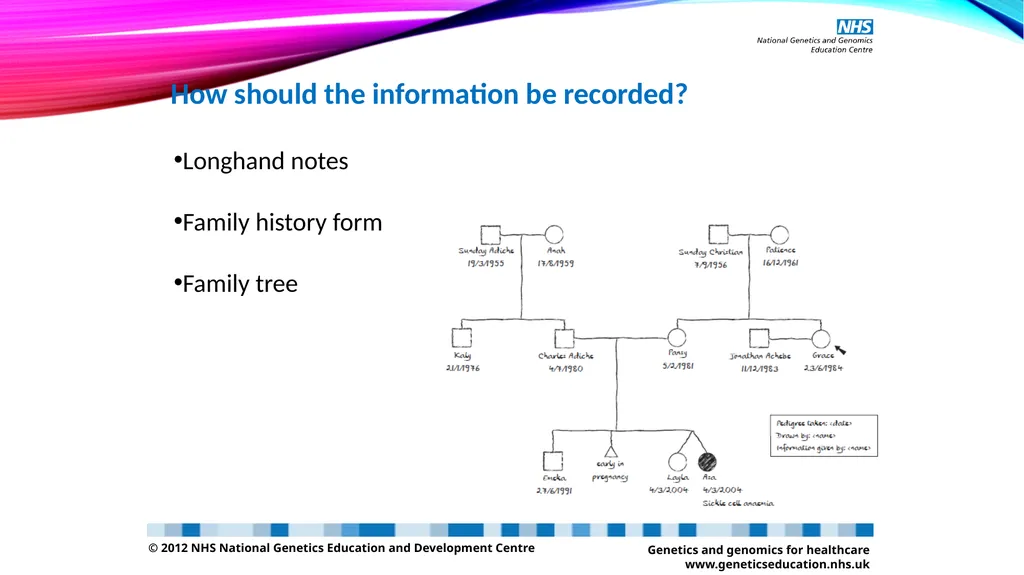 pedigree overview What is a pedigree? Definition - slide 23 of 42