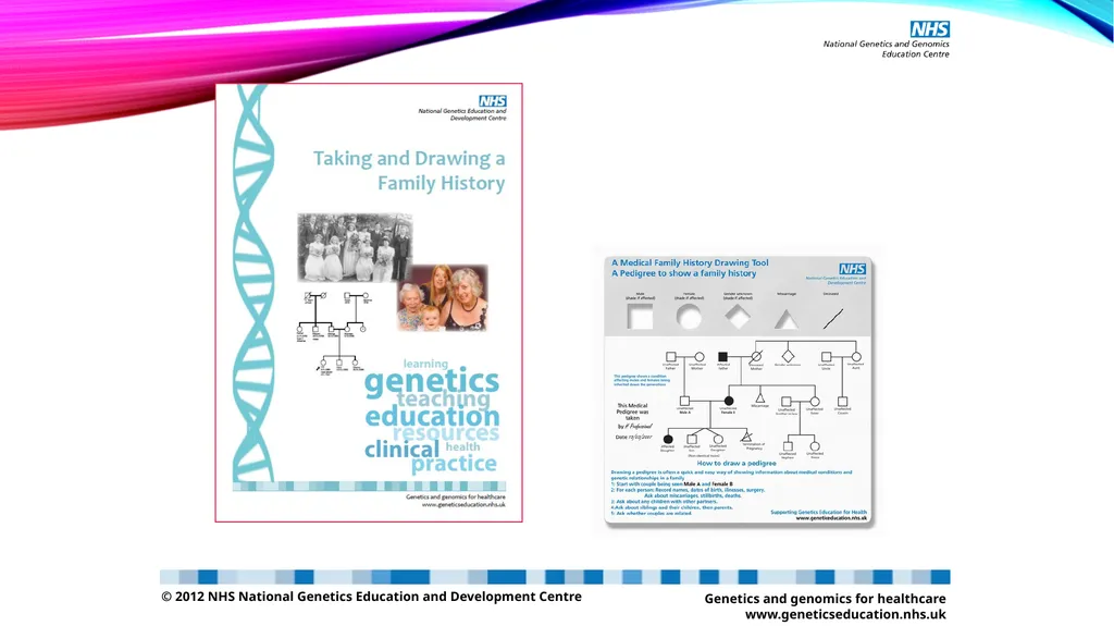 pedigree overview What is a pedigree? Definition - slide 20 of 42