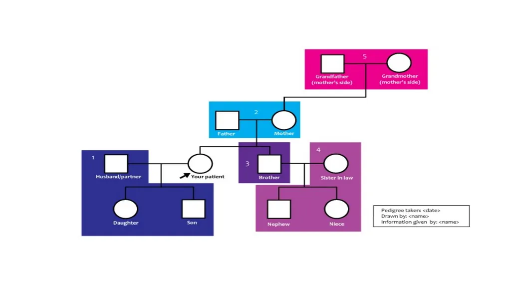 pedigree overview What is a pedigree? Definition - slide 29 of 42