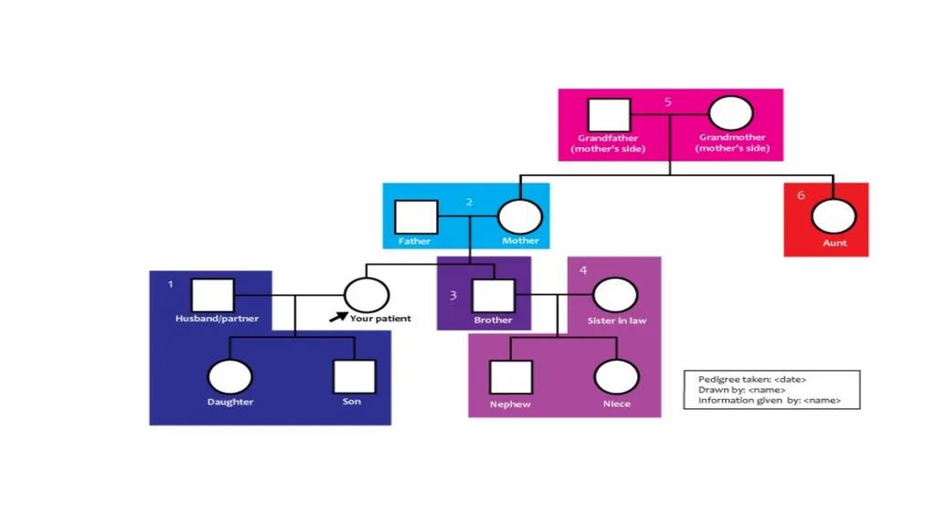 pedigree overview What is a pedigree? Definition - slide 30 of 42