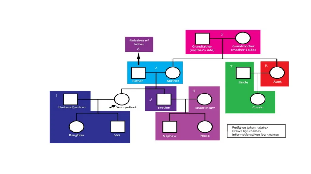 pedigree overview What is a pedigree? Definition - slide 32 of 42