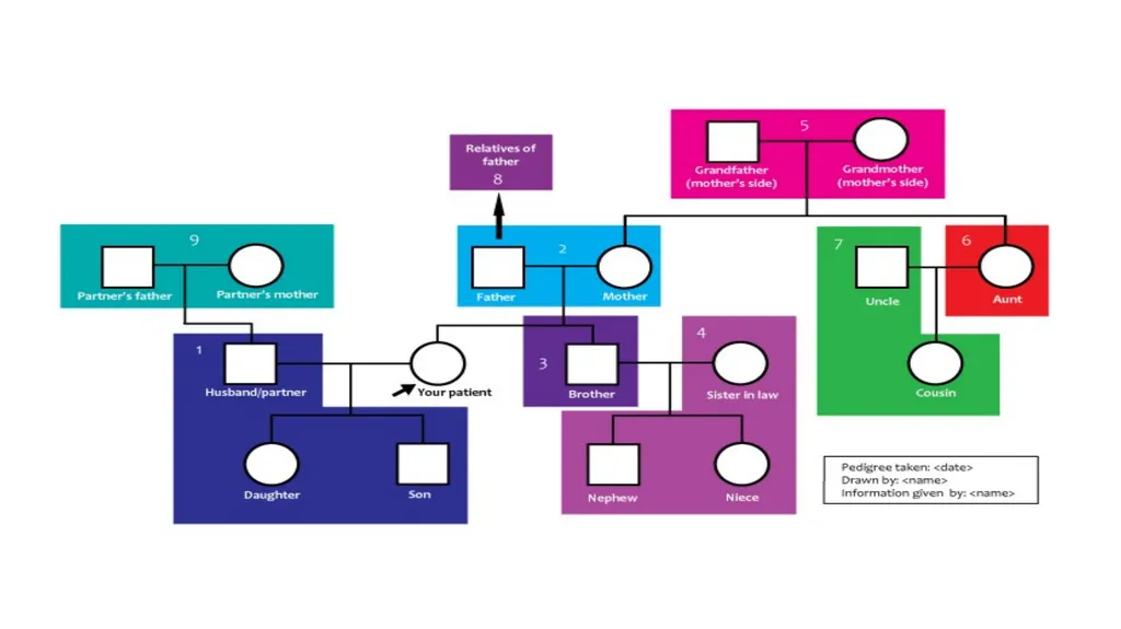 pedigree overview What is a pedigree? Definition - slide 33 of 42