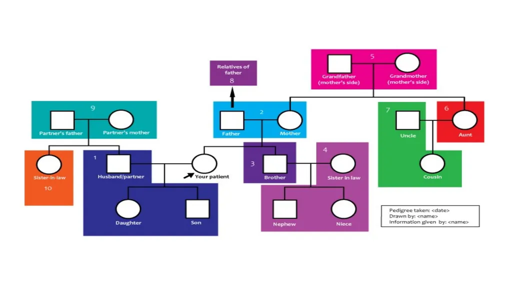 pedigree overview What is a pedigree? Definition - slide 34 of 42