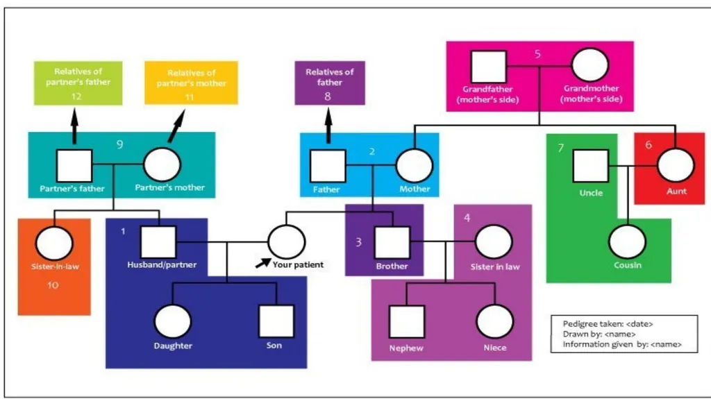 pedigree overview What is a pedigree? Definition - slide 35 of 42