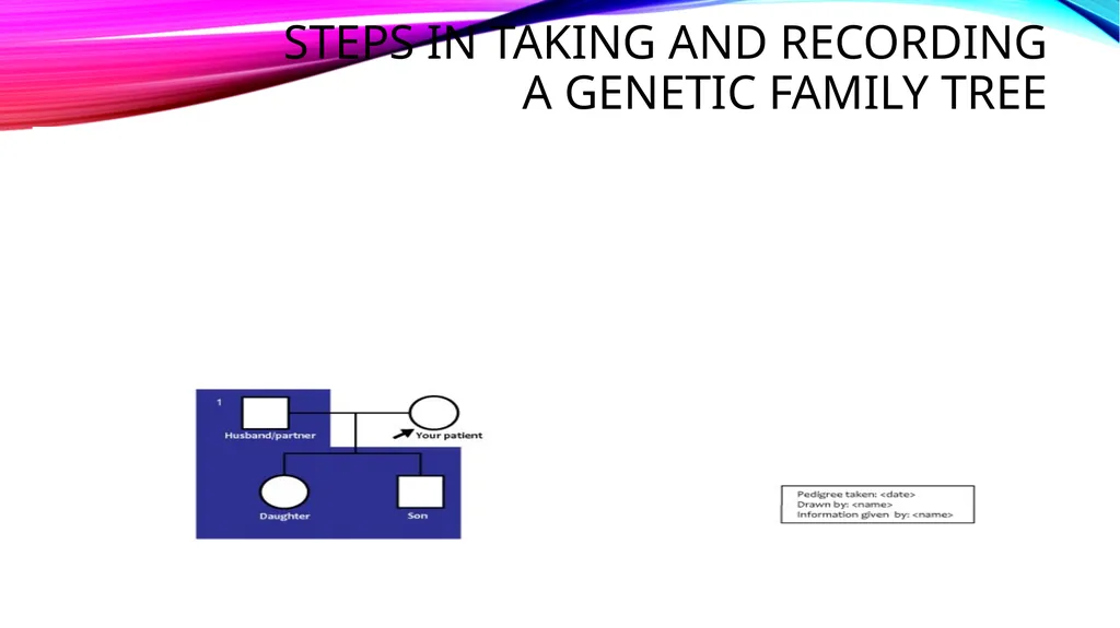 pedigree overview What is a pedigree? Definition - slide 25 of 42