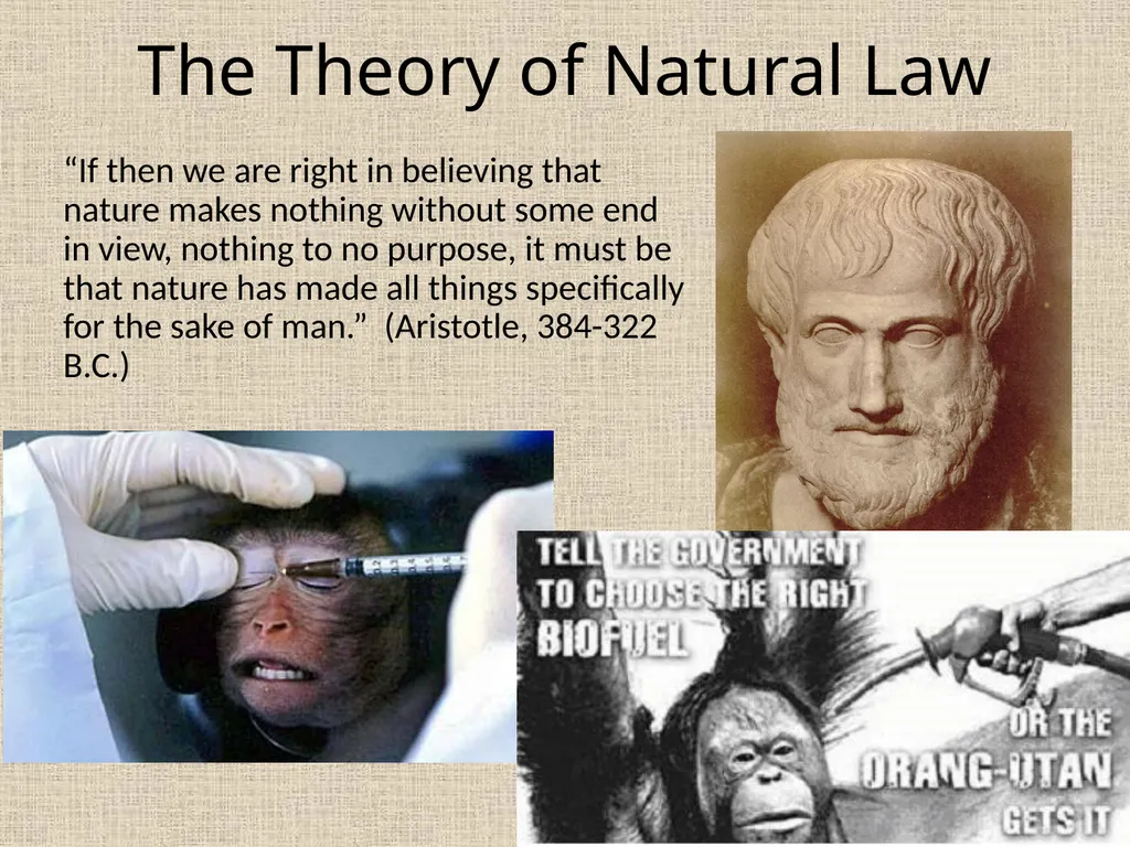 Does Morality Depend on Religion? James Rachels & - slide 7 of 18