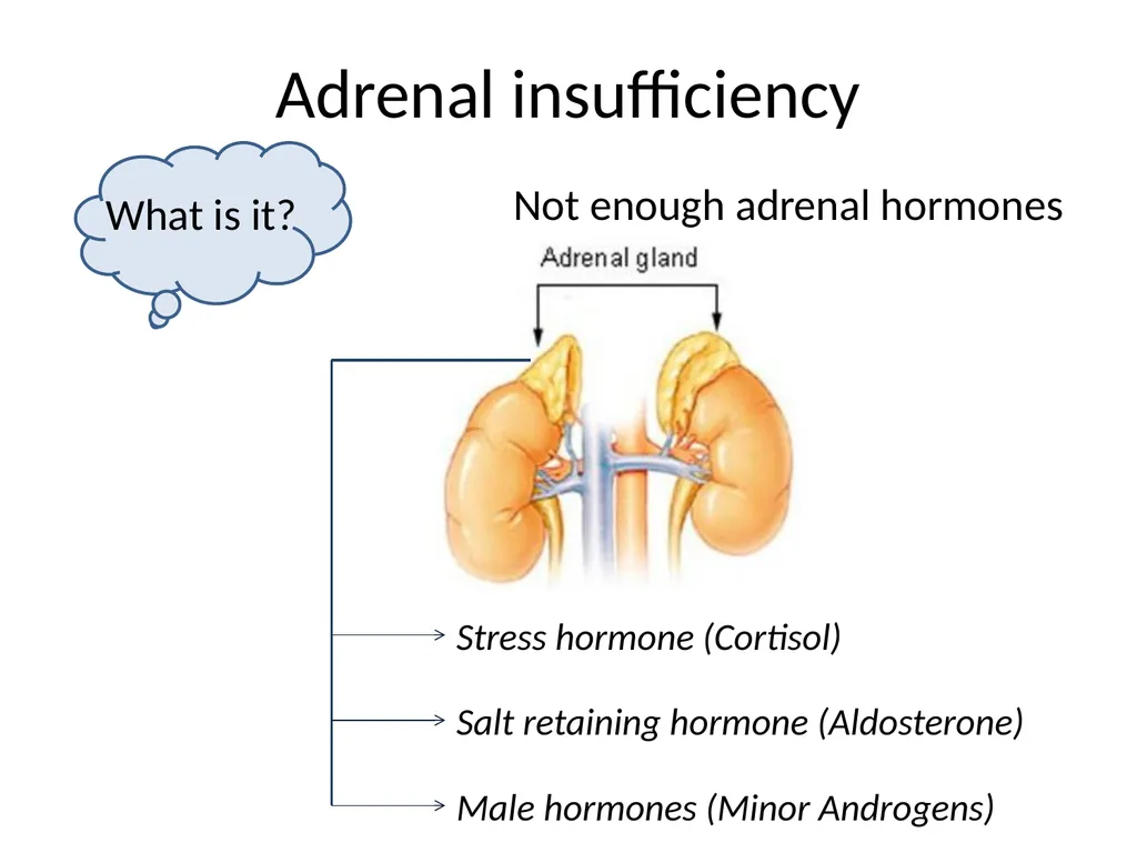 Endocrine dysfunction (Hormone imbalance) in - slide 29 of 37