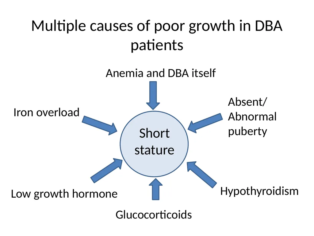 Endocrine dysfunction (Hormone imbalance) in - slide 14 of 37