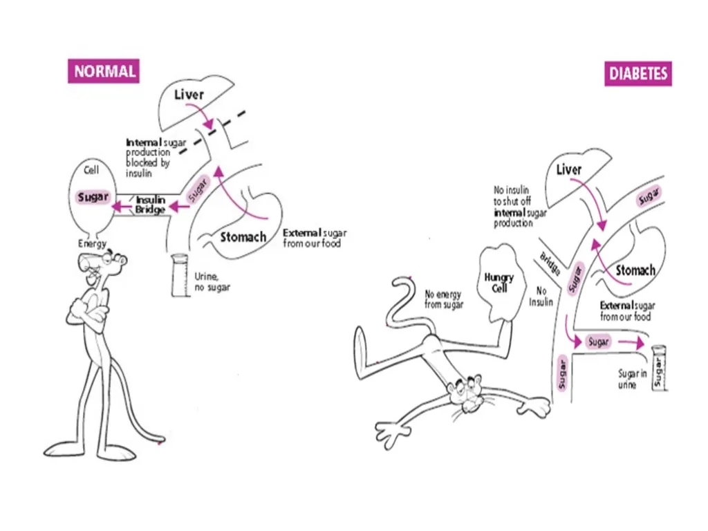 Endocrine dysfunction (Hormone imbalance) in - slide 25 of 37