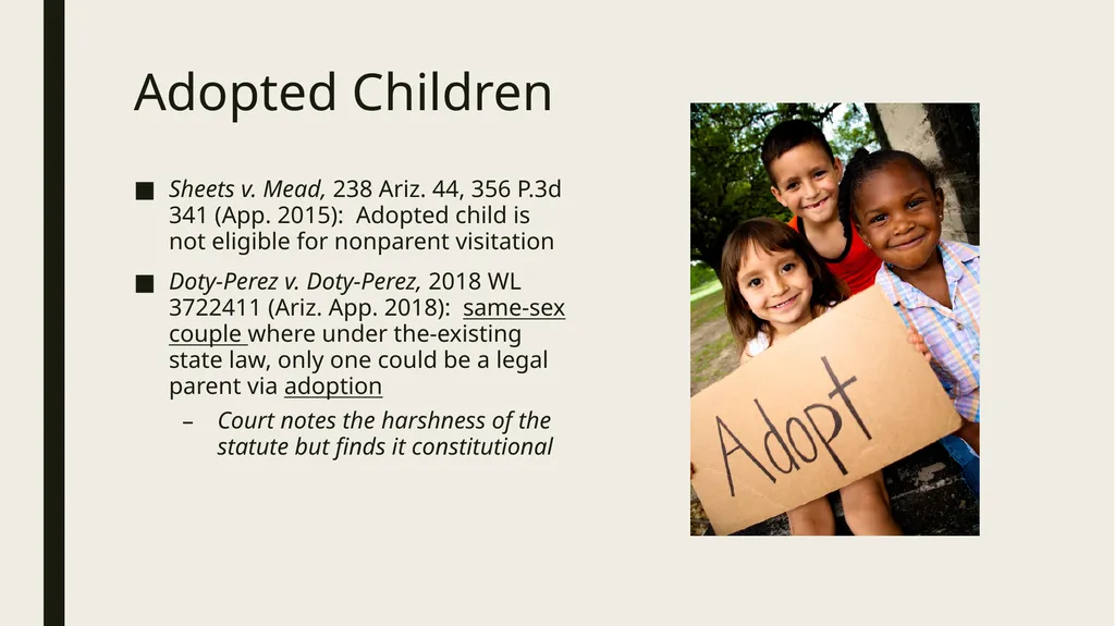 Constitutional and Practical Issues in Nonparent - slide 8 of 28