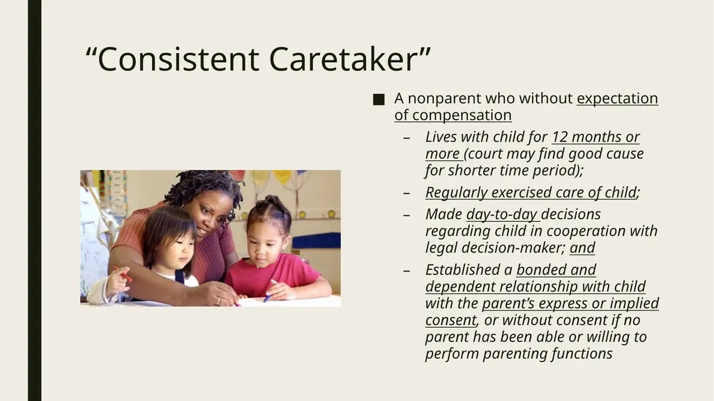 Constitutional and Practical Issues in Nonparent - slide 19 of 28