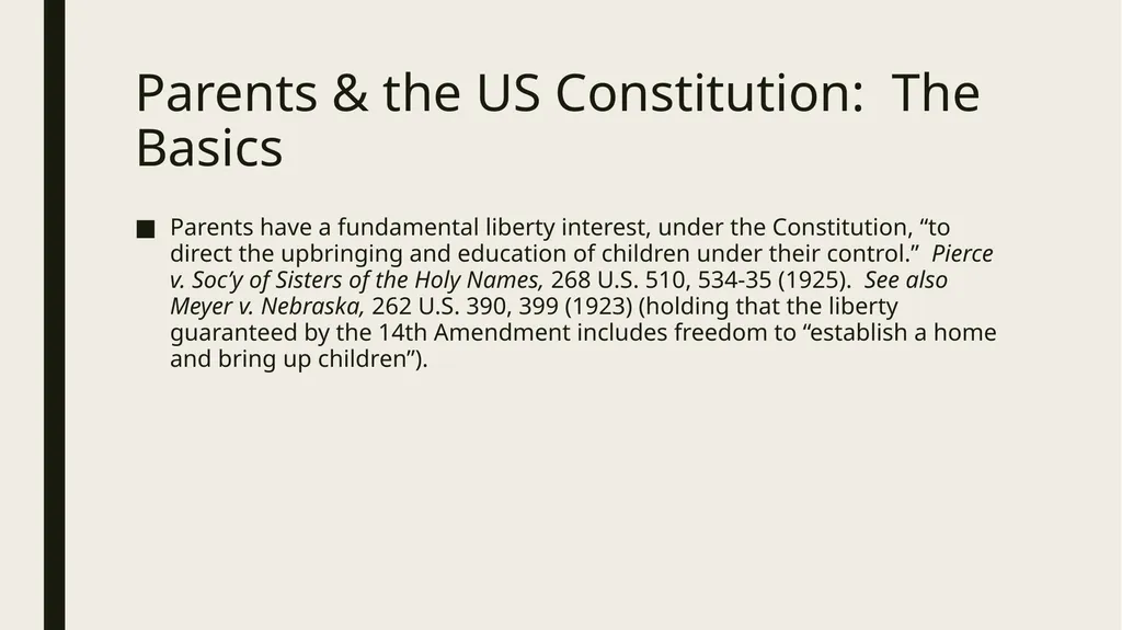 Constitutional and Practical Issues in Nonparent - slide 11 of 28